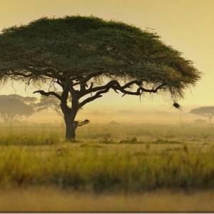 Meet your Posher, A fred